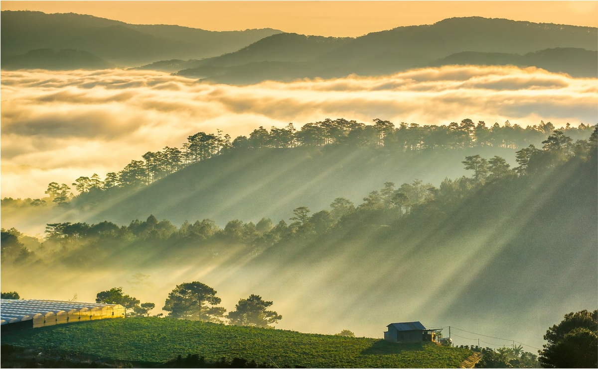 ĐÀ LẠT